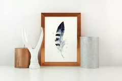 Image of a feather watercolor painting by Shayna Larsen, originals & prints available