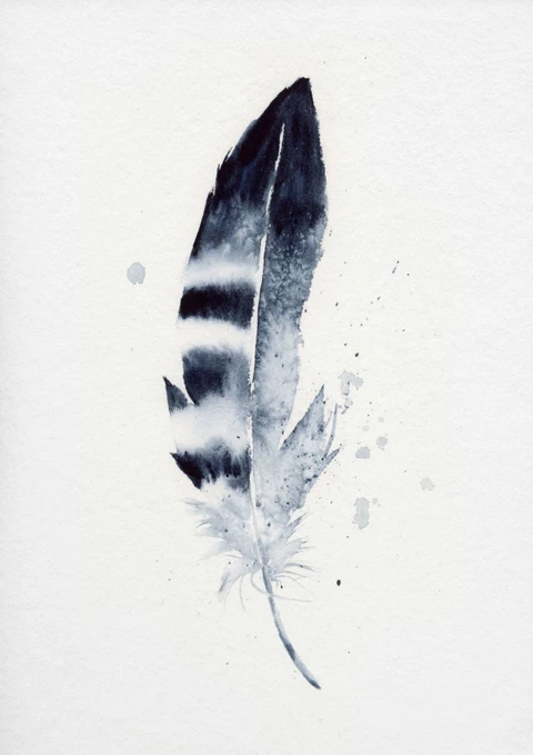 Image of a feather watercolor painting by Shayna Larsen, originals & prints available