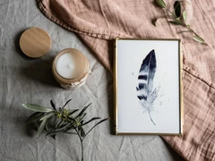 Image of a feather watercolor painting by Shayna Larsen, originals & prints available