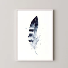 Image of a feather watercolor painting by Shayna Larsen, originals & prints available