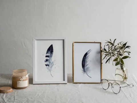 Image of a feather watercolor painting by Shayna Larsen, originals & prints available