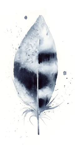 Image of a feather watercolor painting by Shayna Larsen, originals & prints available
