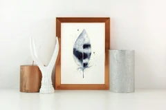 Image of a feather watercolor painting by Shayna Larsen, originals & prints available