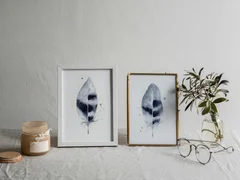 Image of a feather watercolor painting by Shayna Larsen, originals & prints available