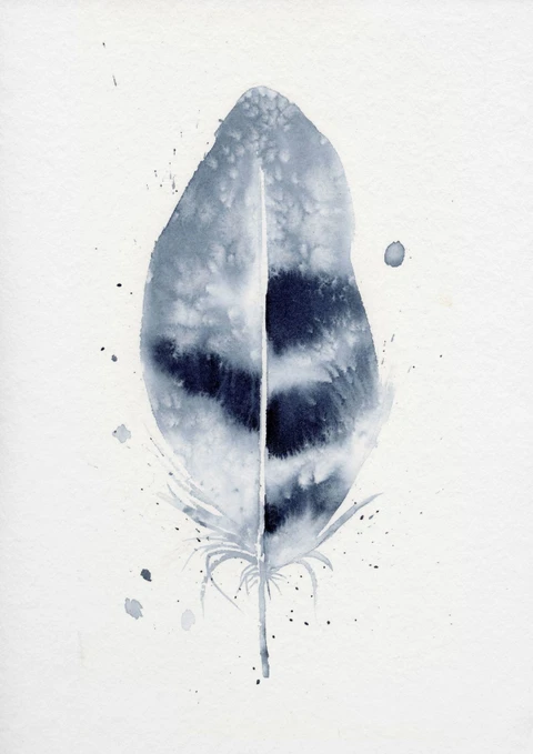 Image of a feather watercolor painting by Shayna Larsen, originals & prints available