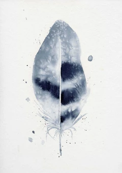 Image of a feather watercolor painting by Shayna Larsen, originals & prints available