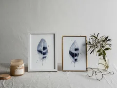 Image of a feather watercolor painting by Shayna Larsen, originals & prints available
