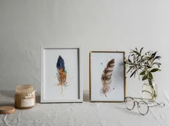 Image of a feather watercolor painting by Shayna Larsen, originals & prints available