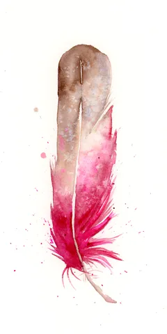 Image of a feather watercolor painting by Shayna Larsen, originals & prints available