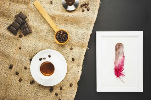 Image of a feather watercolor painting by Shayna Larsen, originals & prints available