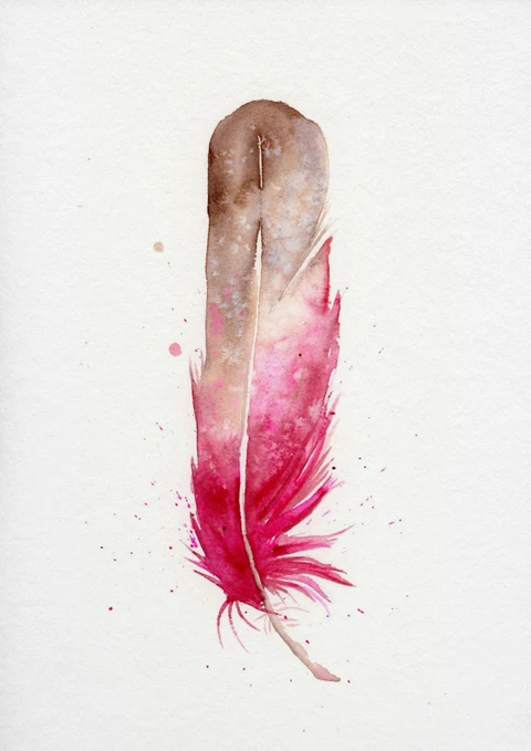 Image of a feather watercolor painting by Shayna Larsen, originals & prints available