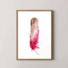 Image of a feather watercolor painting by Shayna Larsen, originals & prints available