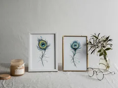 Image of a feather watercolor painting by Shayna Larsen, originals & prints available