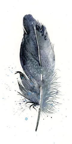 Image of a feather watercolor painting by Shayna Larsen, originals & prints available