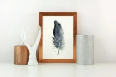 Image of a feather watercolor painting by Shayna Larsen, originals & prints available