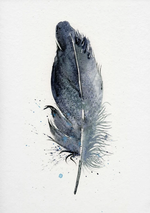 Image of a feather watercolor painting by Shayna Larsen, originals & prints available