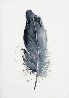 Image of a feather watercolor painting by Shayna Larsen, originals & prints available