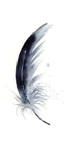 Image of a feather watercolor painting by Shayna Larsen, originals & prints available