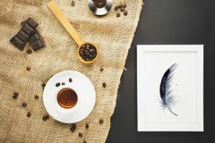 Image of a feather watercolor painting by Shayna Larsen, originals & prints available