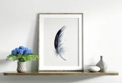 Image of a feather watercolor painting by Shayna Larsen, originals & prints available