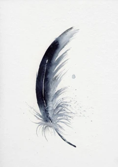 Image of a feather watercolor painting by Shayna Larsen, originals & prints available