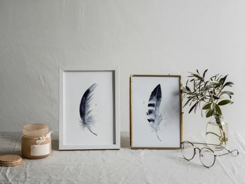Image of a feather watercolor painting by Shayna Larsen, originals & prints available