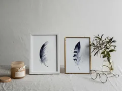 Image of a feather watercolor painting by Shayna Larsen, originals & prints available