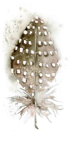 Image of a feather watercolor painting by Shayna Larsen, originals & prints available