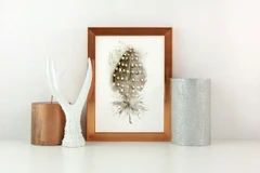 Image of a feather watercolor painting by Shayna Larsen, originals & prints available