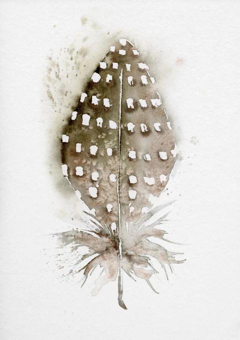 Image of a feather watercolor painting by Shayna Larsen, originals & prints available