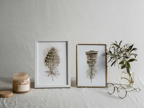 Image of a feather watercolor painting by Shayna Larsen, originals & prints available