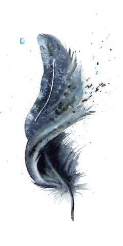 Image of a feather watercolor painting by Shayna Larsen, originals & prints available