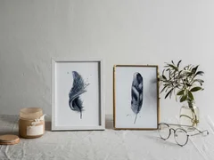 Image of a feather watercolor painting by Shayna Larsen, originals & prints available