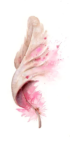 Image of a feather watercolor painting by Shayna Larsen, originals & prints available