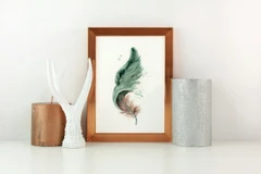 Image of a feather watercolor painting by Shayna Larsen, originals & prints available