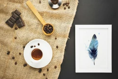 Image of a feather watercolor painting by Shayna Larsen, originals & prints available