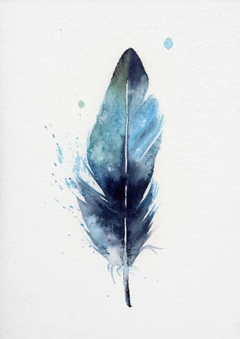 Image of a feather watercolor painting by Shayna Larsen, originals & prints available
