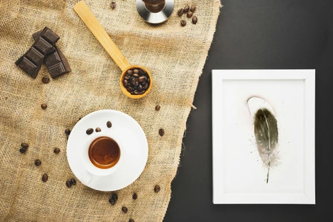 Image of a feather watercolor painting by Shayna Larsen, originals & prints available