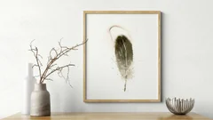 Image of a feather watercolor painting by Shayna Larsen, originals & prints available