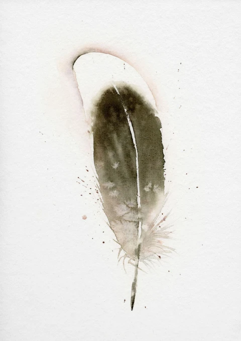 Image of a feather watercolor painting by Shayna Larsen, originals & prints available