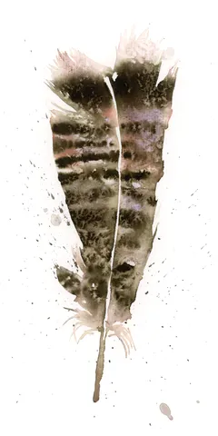 Image of a feather watercolor painting by Shayna Larsen, originals & prints available