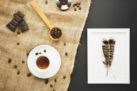 Image of a feather watercolor painting by Shayna Larsen, originals & prints available