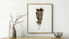 Image of a feather watercolor painting by Shayna Larsen, originals & prints available