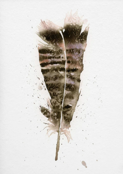 Image of a feather watercolor painting by Shayna Larsen, originals & prints available