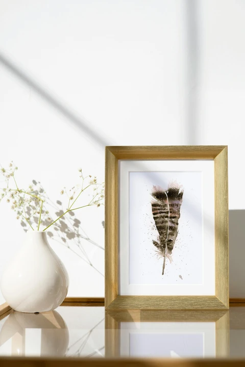 Image of a feather watercolor painting by Shayna Larsen, originals & prints available