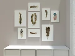 Image of a feather watercolor painting by Shayna Larsen, originals & prints available