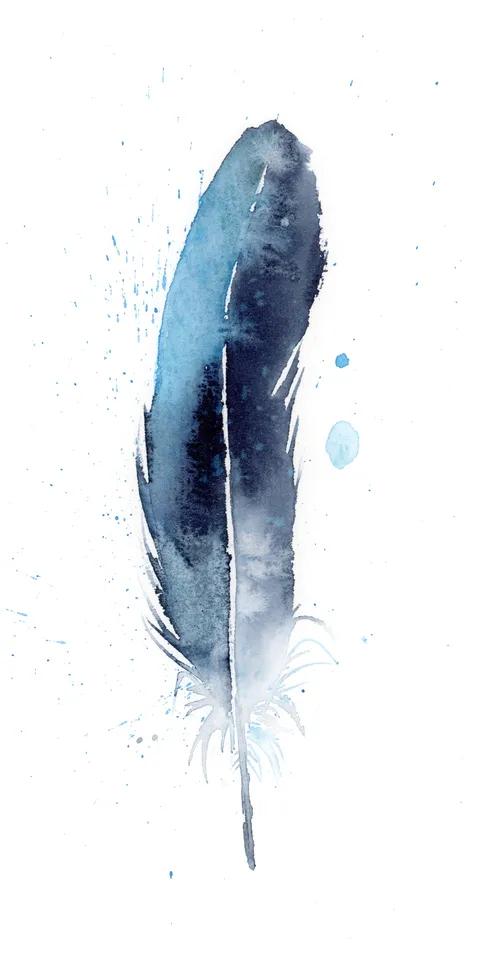 Image of a feather watercolor painting by Shayna Larsen, originals & prints available