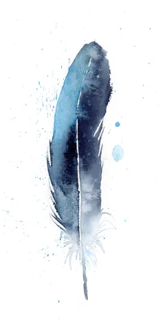 Image of a feather watercolor painting by Shayna Larsen, originals & prints available