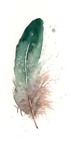 Image of a feather watercolor painting by Shayna Larsen, originals & prints available