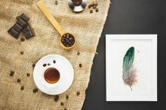 Image of a feather watercolor painting by Shayna Larsen, originals & prints available